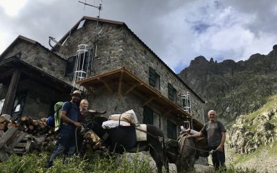Des ânes pour le changement climatique dans le Mercantour