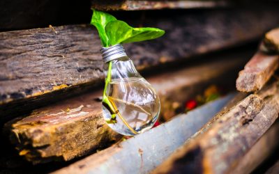 À Cuneo, un festival de l&rsquo;innovation pour les zones rurales au profit de l&rsquo;environnement, de l&rsquo;économie et de la société